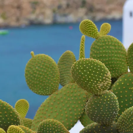 Etesians & Gæstehus Super Paradise Beach (Mykonos)