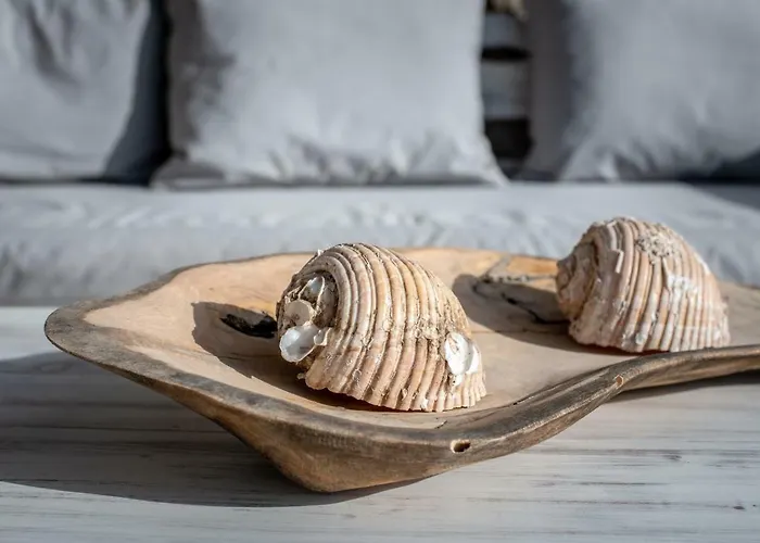 Etesians & ゲストハウス