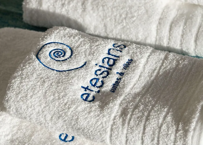 Etesians Suites&villas Plage de Super Paradise