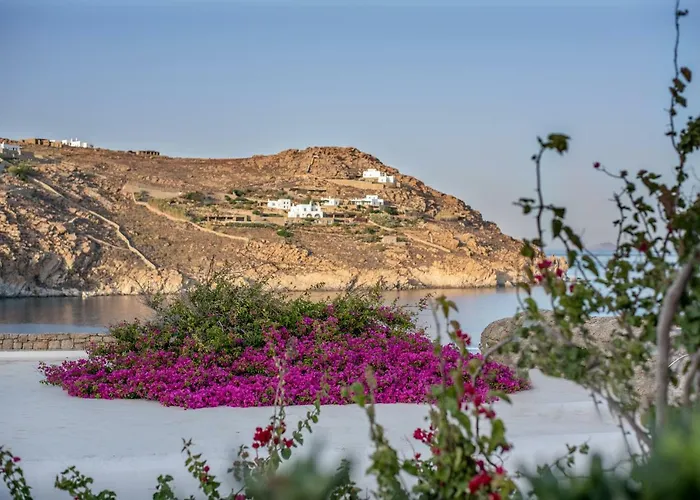 Etesians & Guest house