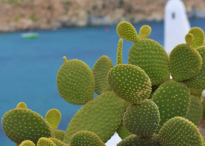 Etesians & Guest house Super Paradise Beach (Mykonos)